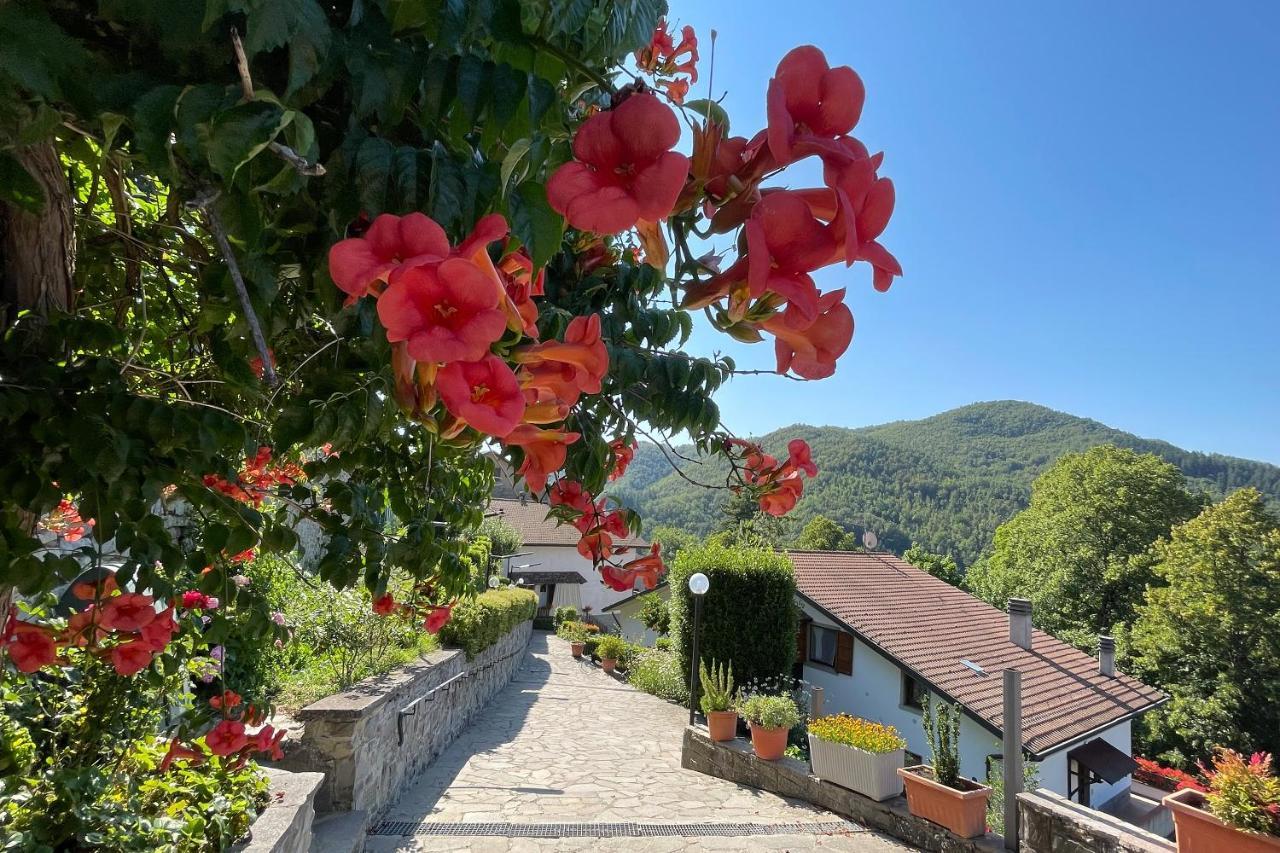 La Casa Di Gloria - Affitta Badia Prataglia